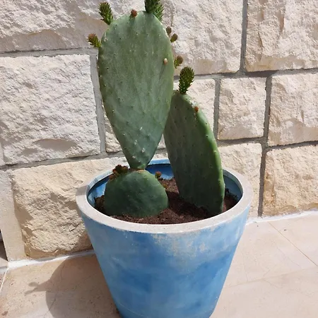 ゲストハウス Luka