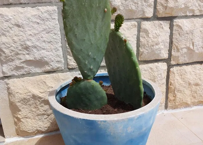 Gostinjska kuća Luka