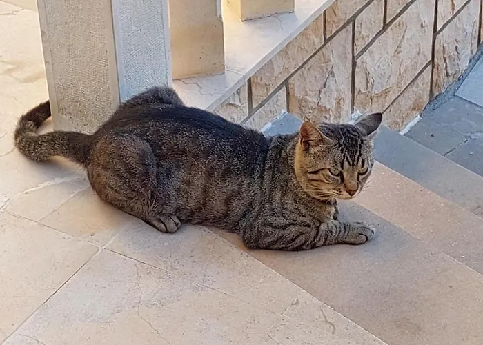 Luka Gostinjska kuća