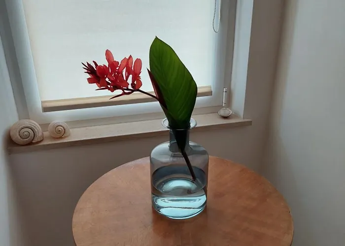 Gostinjska kuća Luka